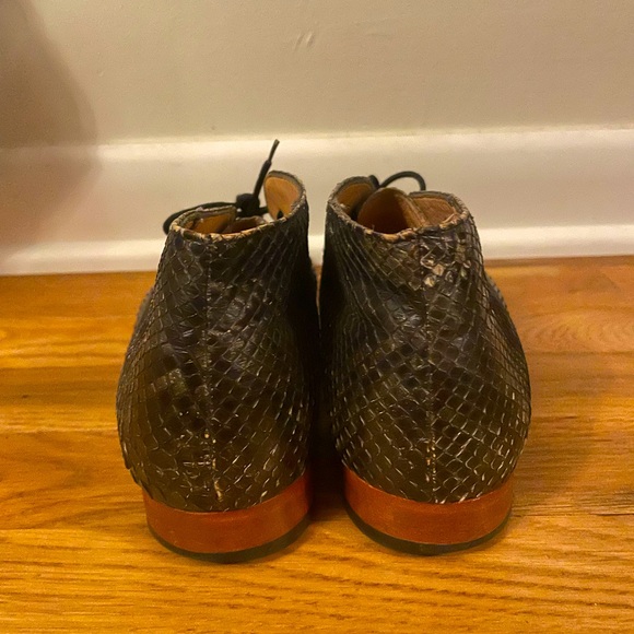 Dieppa Restrepo Python Lupe - Picture 5 of 7